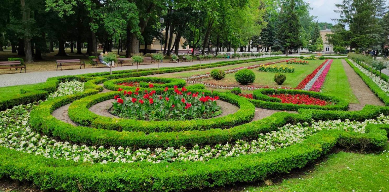 Rezydencja Pod Teznia & Spa Inowrocław Buitenkant foto